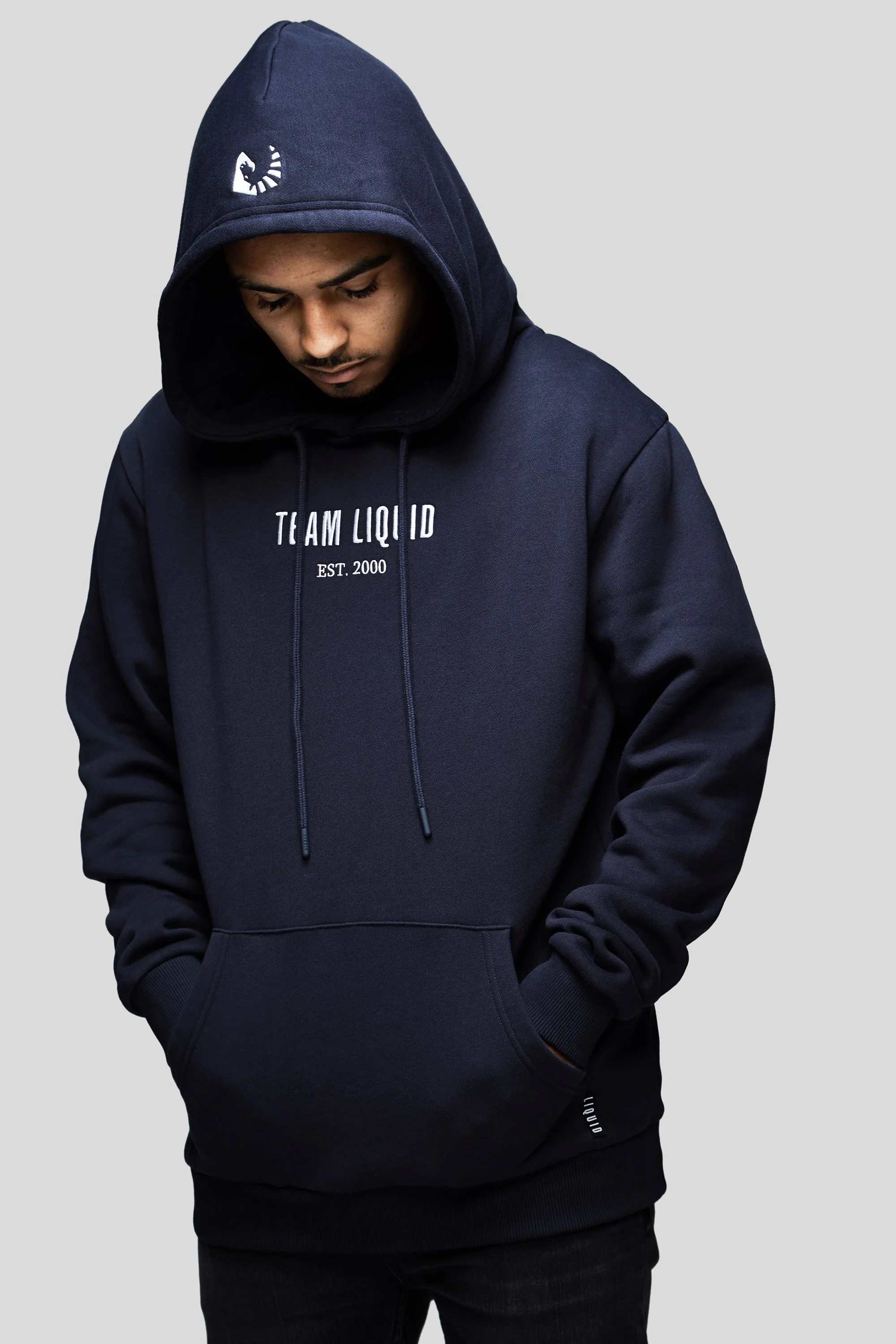 ESTABLISHED HOODIE - Image 7