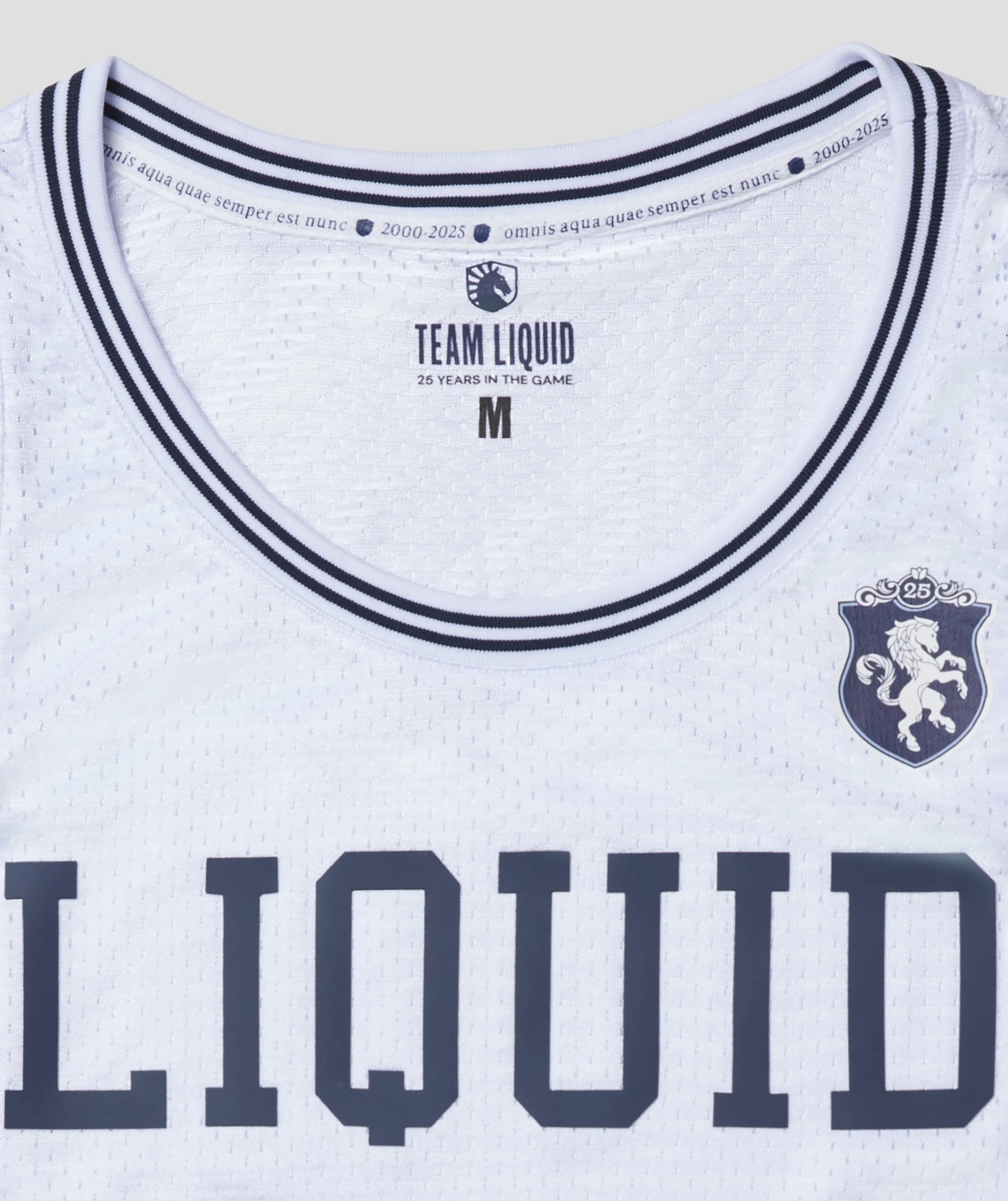QUARTER CENTURY BASKETBALL JERSEY - Image 7